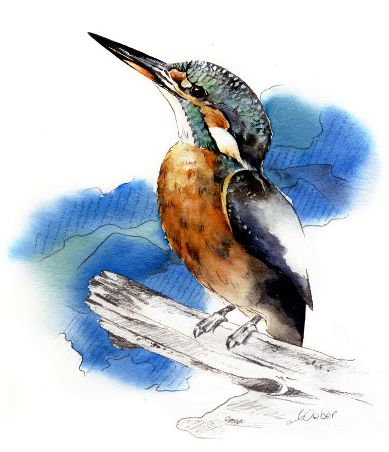 Le Roi du Blues - a Paintings by Aqualowe